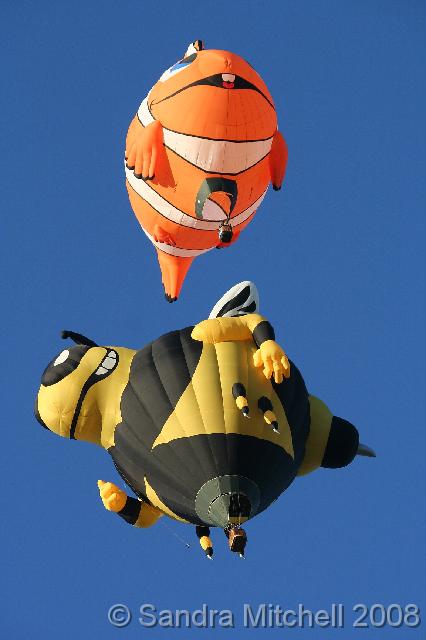 IMG_4848