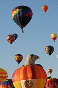 IMG_5391