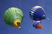 HIMG_4847