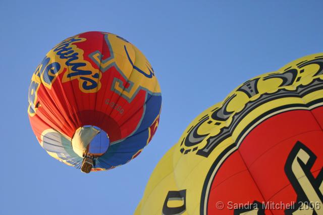 HIMG_9545 