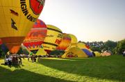 HIMG_3495