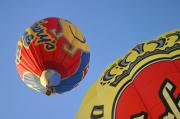HIMG_9545 