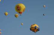 HIMG_1301
