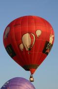 IMG_1604 
