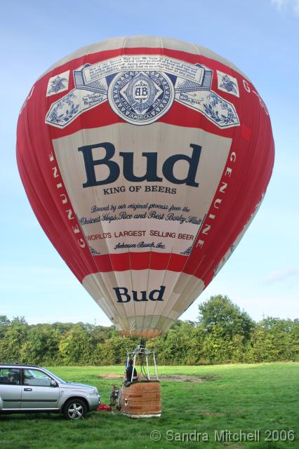 G-BUEU 