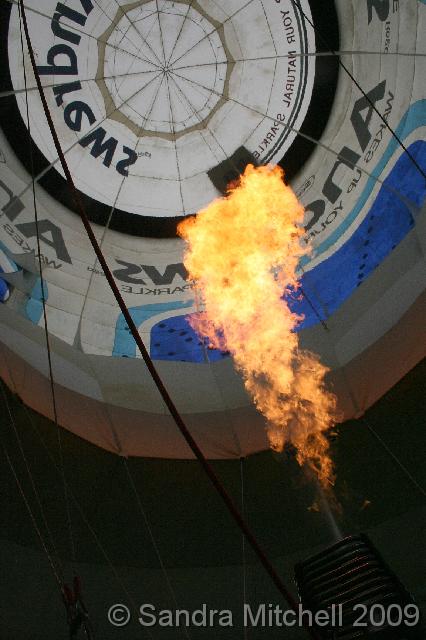IMG_7135